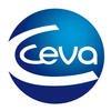 Ceva