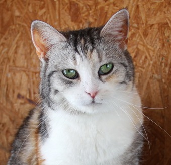 �������