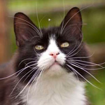 �������