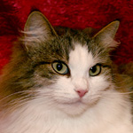 ������������