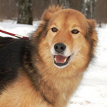 �������