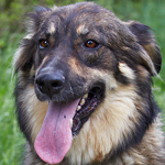 ��������