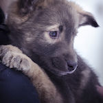 ����� � ����� ���-��-����.